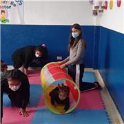 clasespersonalizadas de boxeo y entrenamiento funcional